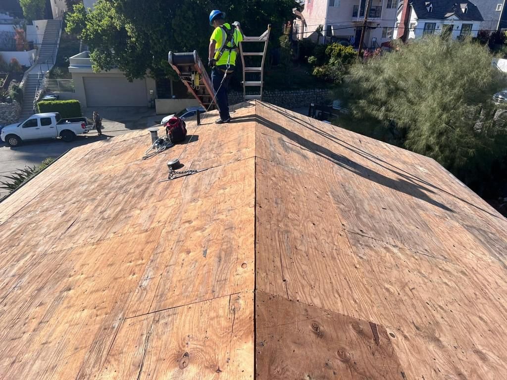 Recent project